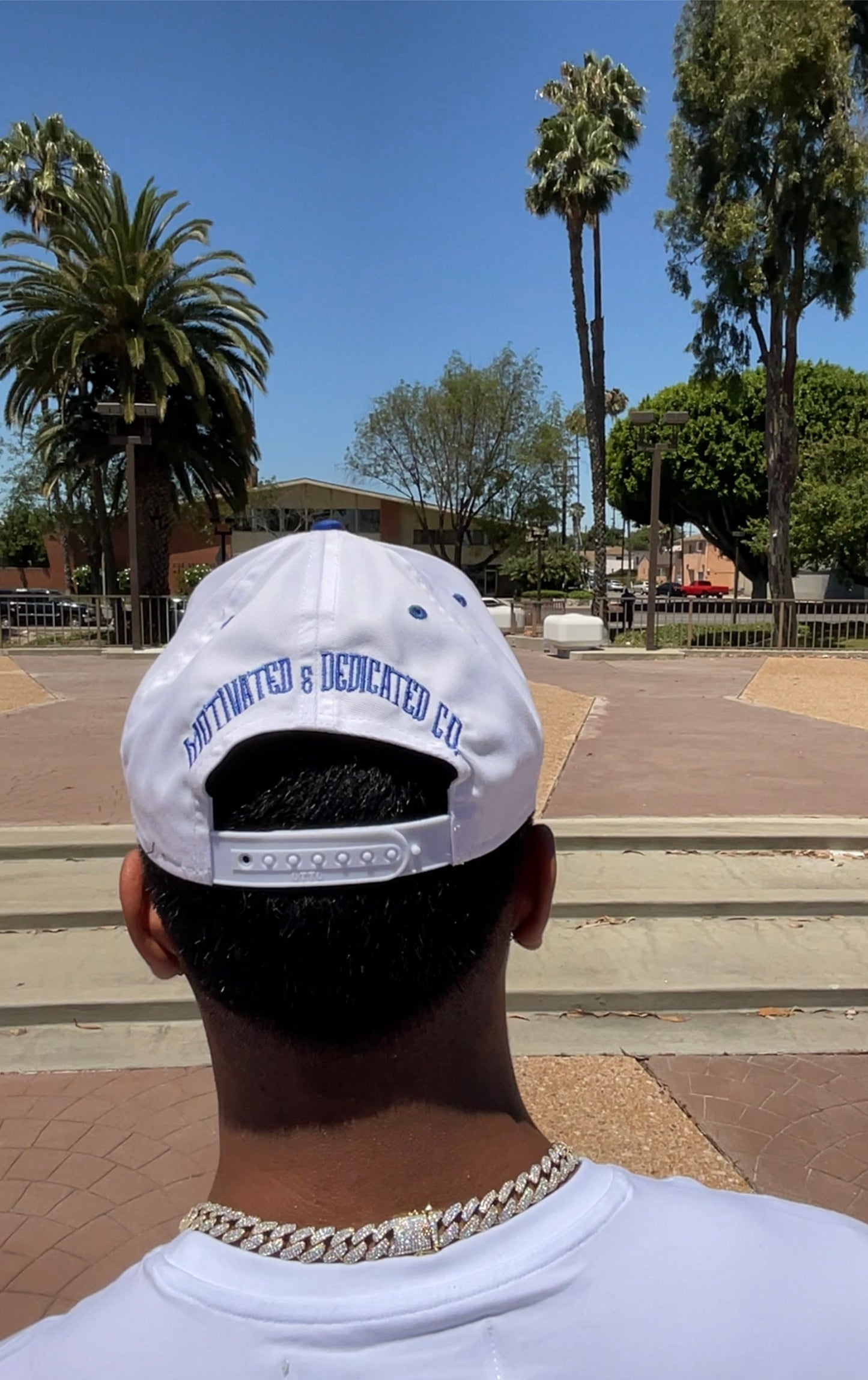 Royal Blue/White Harpy SnapBack
